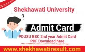 PDUSU BSC 2nd year Admit Card