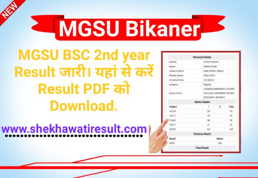 MGSU BSC 2nd year Result