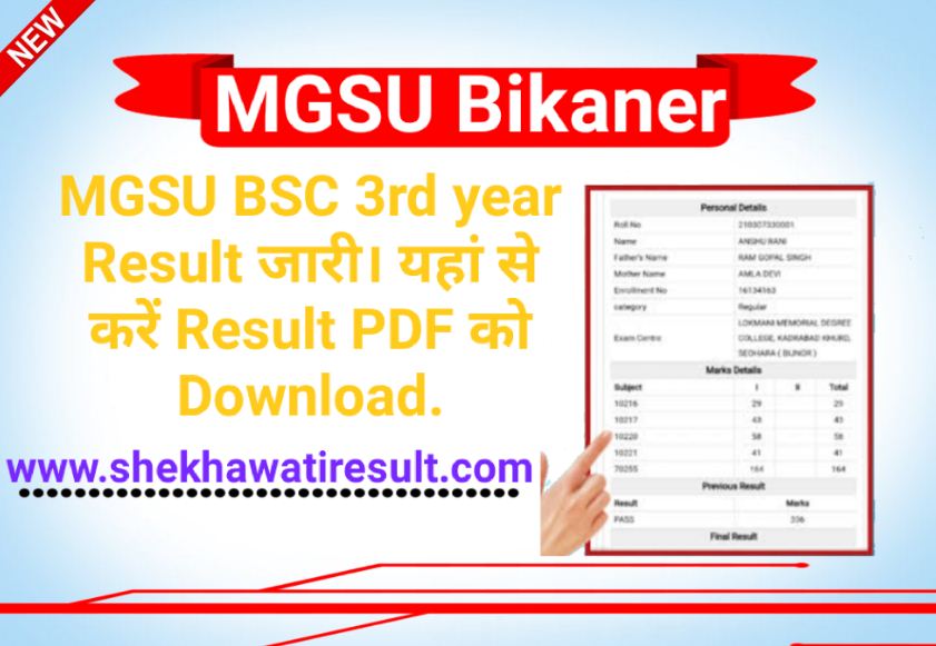 MGSU BSC 3rd year Result