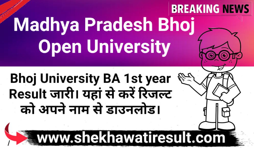 Bhoj University BA 1st year Result
