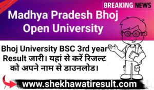 Bhoj University BSC 3rd year Result