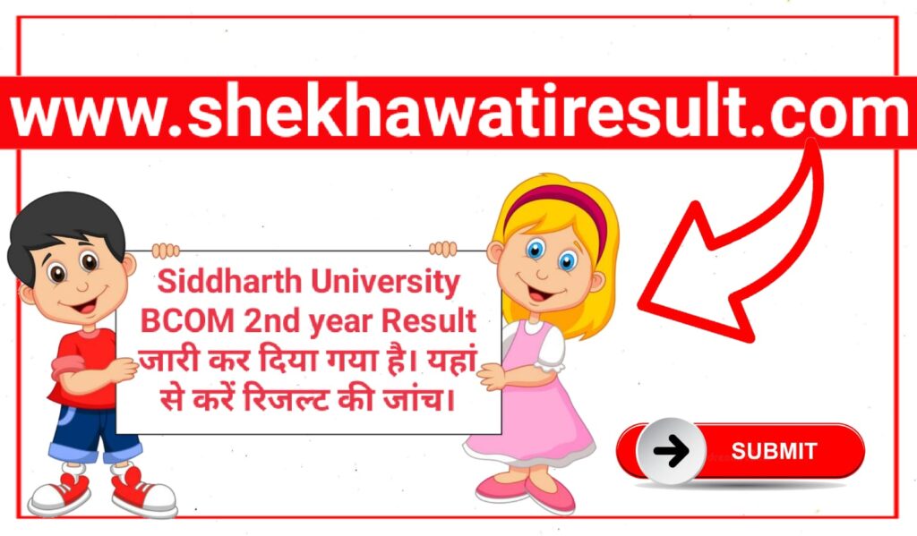 Siddharth University BCOM 2nd Year Result