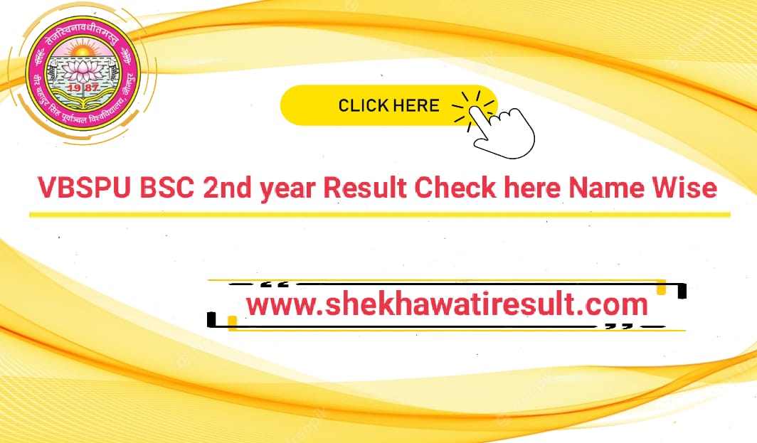 VBSPU BSC 2nd Year Result
