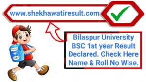 Bilaspur University BSC 1st Year Result