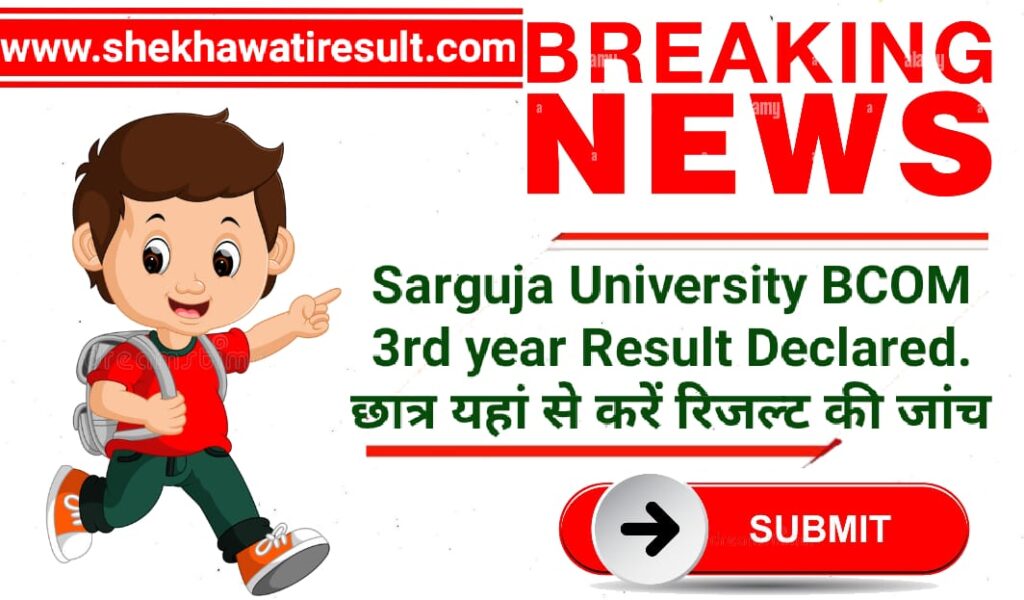 Sarguja University BCOM 3rd year Result
