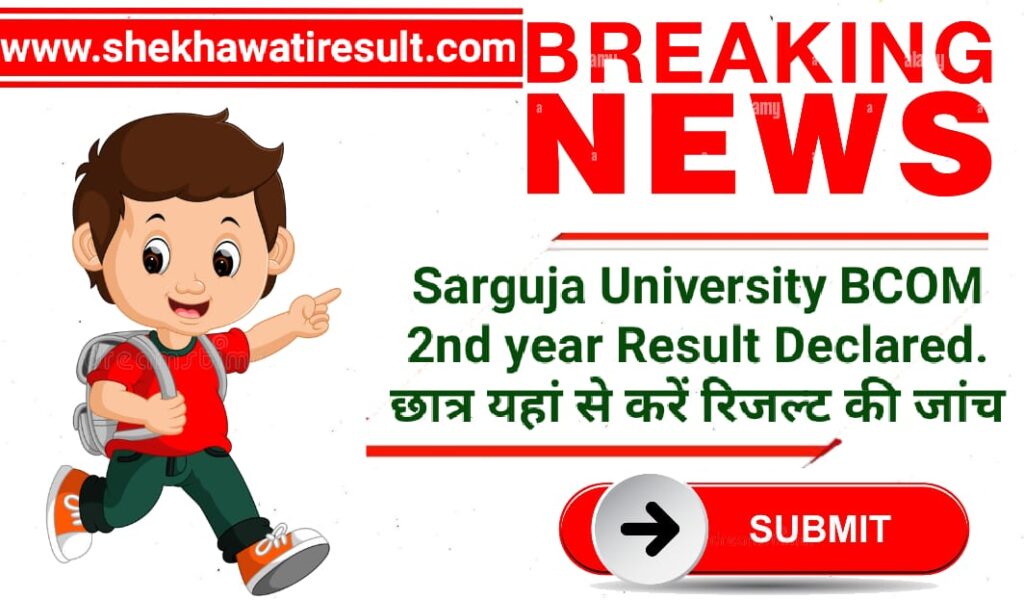 Sarguja University BCOM 2nd year Result