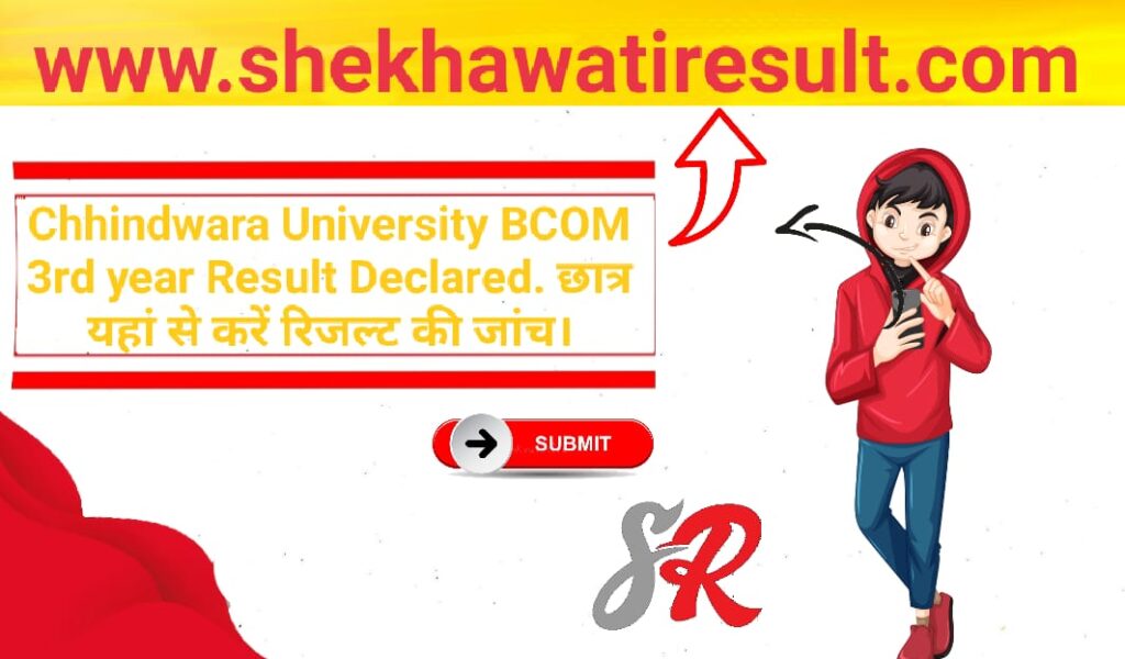 Chhindwara University BCOM 3rd year Result