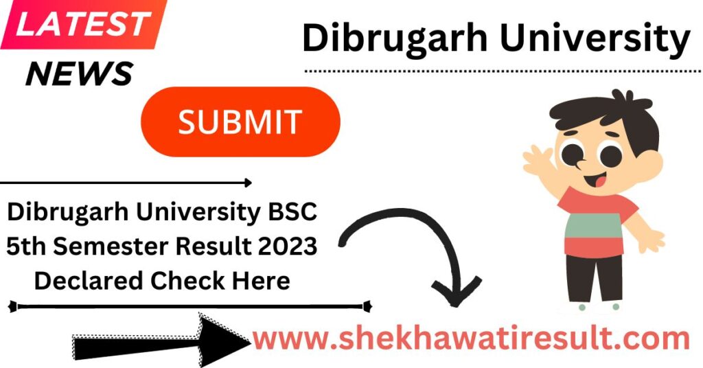 Dibrugarh University BSC 5th Sem Result