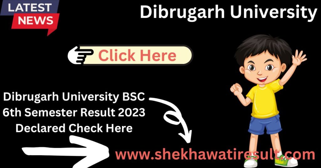 Dibrugarh University BSC 6th Sem Result