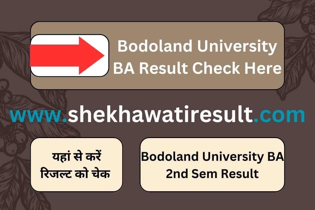 Bodoland University BA 2nd Sem Result