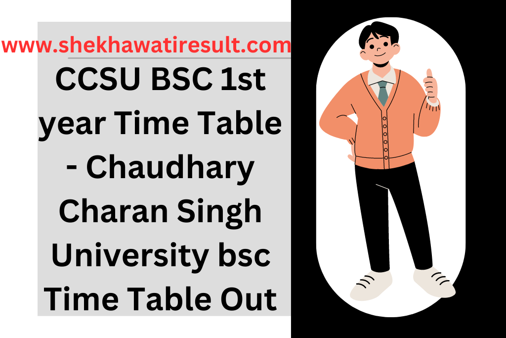 CCSU BSC 1st year Time Table
