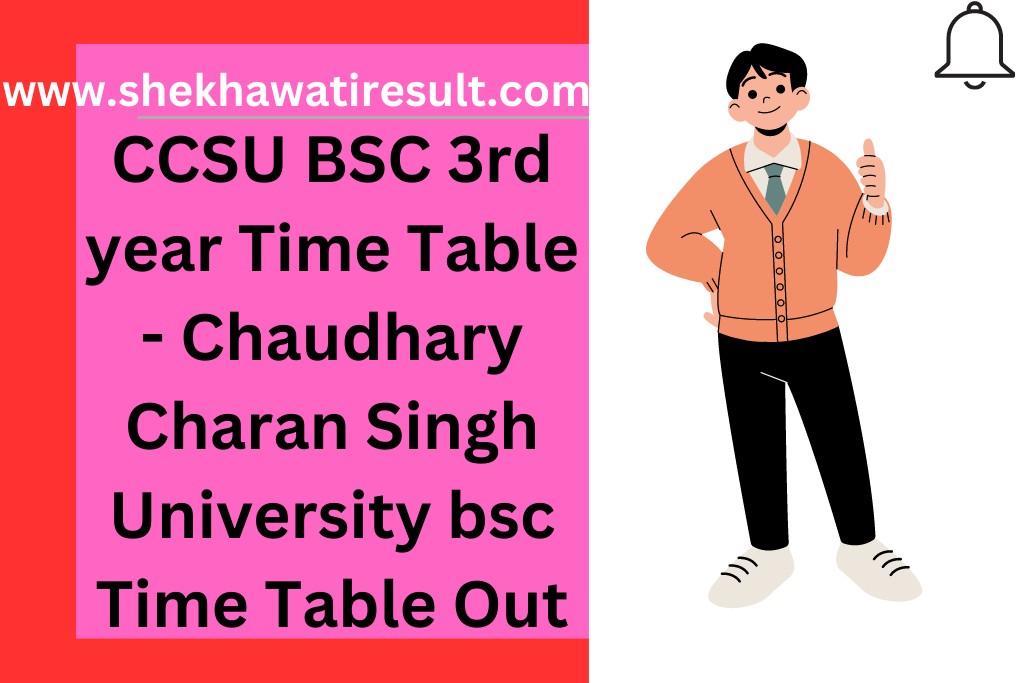 CCSU BSC 3rd year Time Table