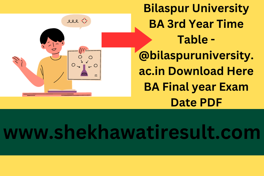 Bilaspur University BA 3rd Year Time Table