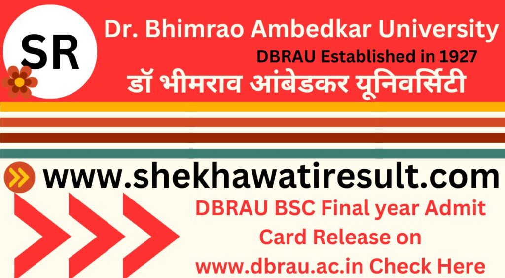 DBRAU BSC Final year Admit Card
